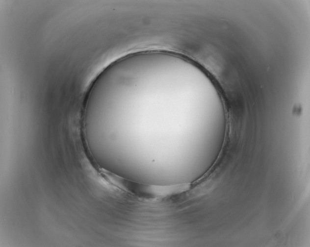 X0000089941500200707201851