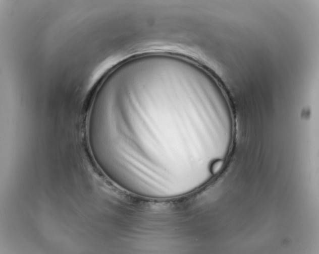 X0000089941501200707201851