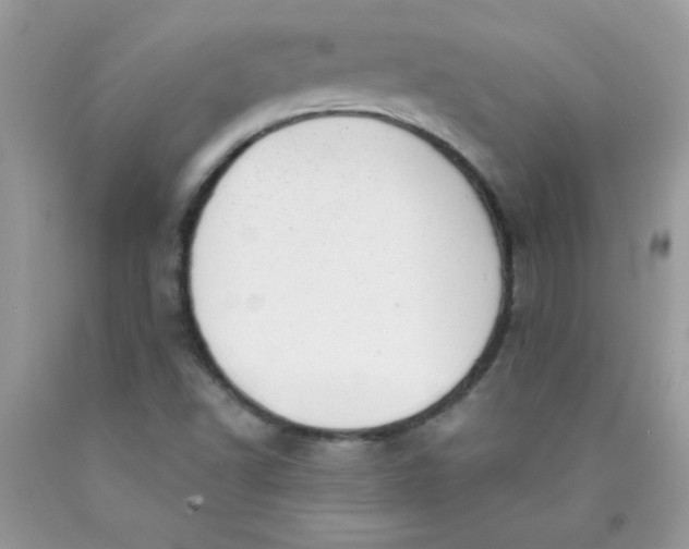 X0000089941502200707201851