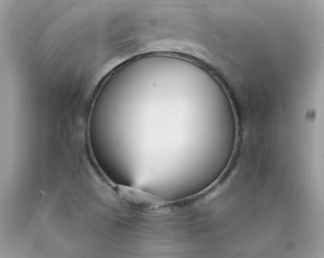 X0000089941505200707201851