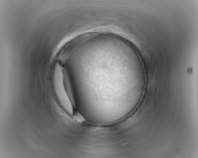 X0000089941506200707201851