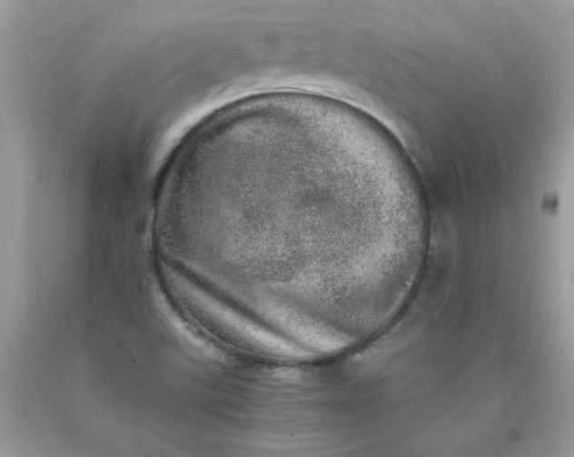 X0000089941507200707201851