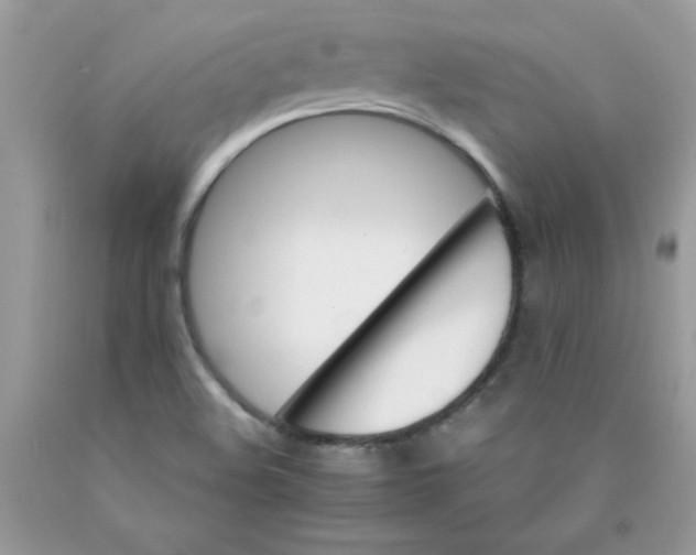 X0000089941508200707201851