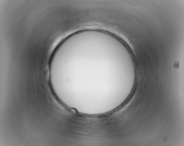 X0000089941509200707201851