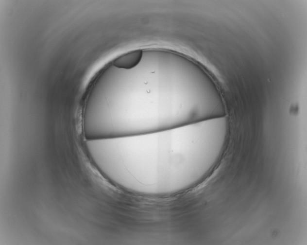 X0000089941510200707201851