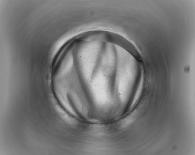 X0000089941511200707201851