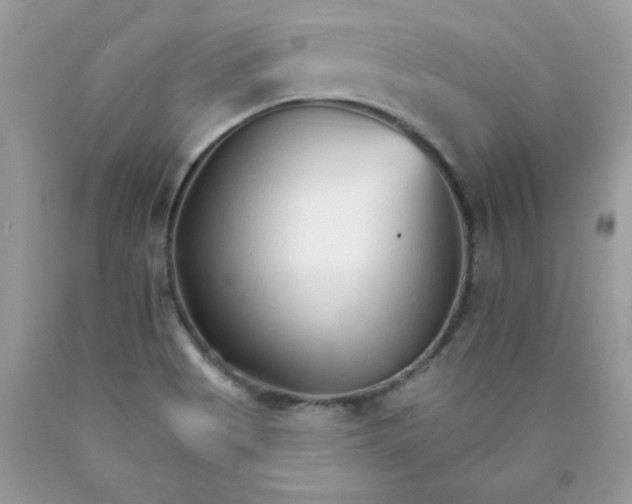 X0000089941513200707201851