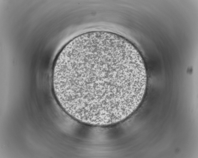 X0000089941514200707201851