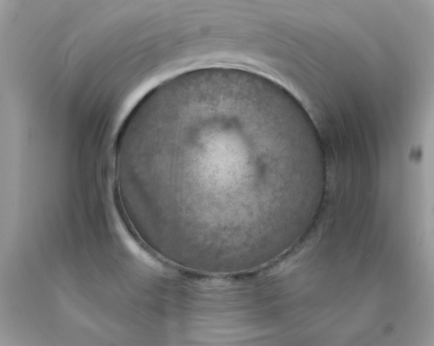 X0000089941515200707201851