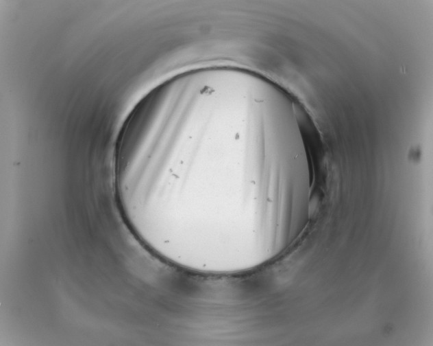 X0000089941516200707201851