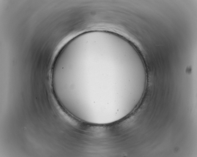 X0000089941517200707201851