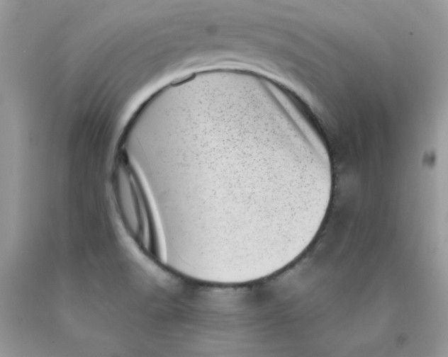 X0000089941518200707201851