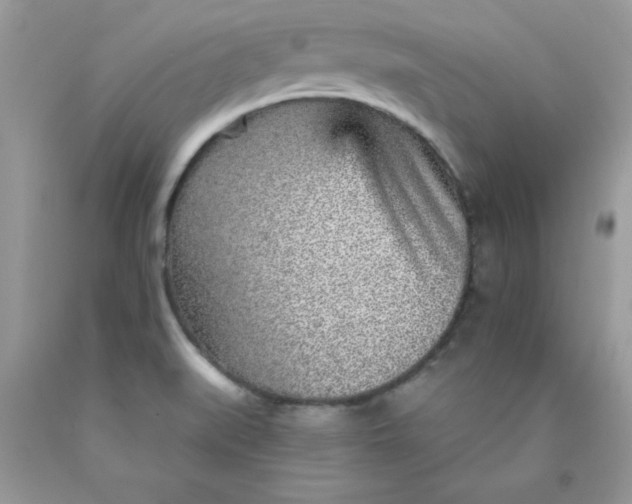 X0000089941519200707201851