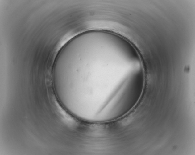 X0000089941521200707201851