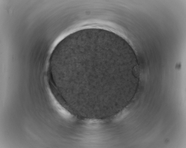 X0000089941522200707201851