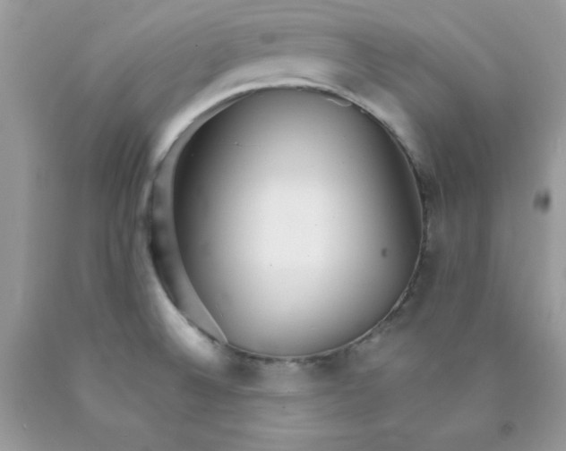 X0000089941524200707201852