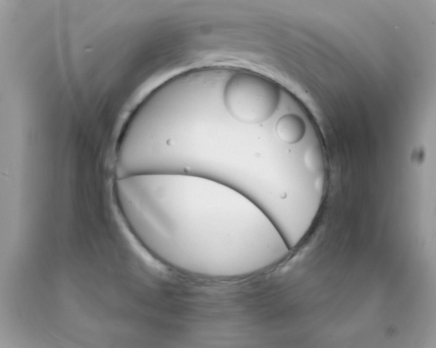 X0000089941525200707201852