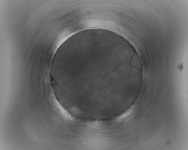 X0000089941529200707201852