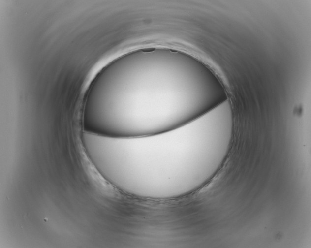 X0000089941530200707201852