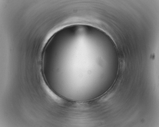 X0000089941531200707201852