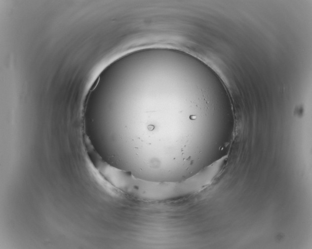 X0000089941532200707201852