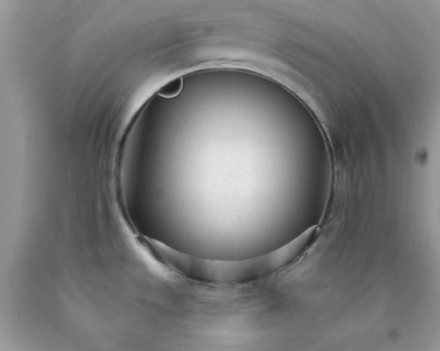 X0000089941533200707201852