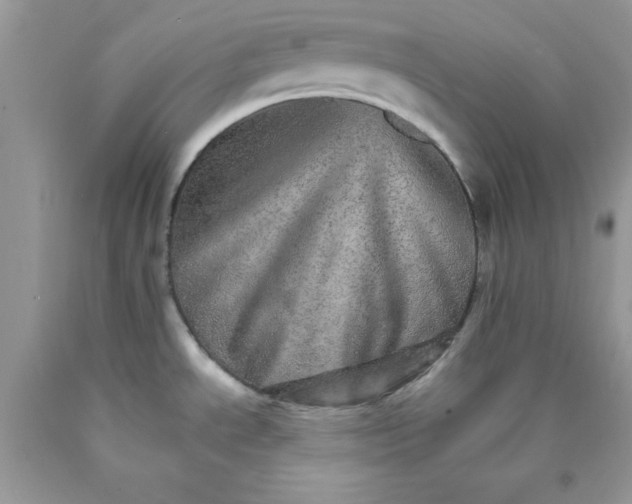 X0000089941534200707201852