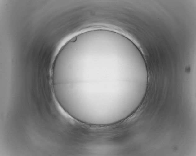 X0000089941535200707201852