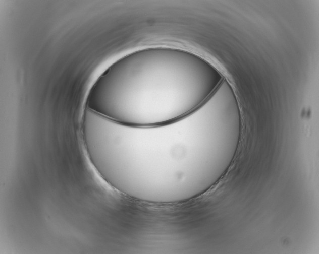 X0000089941536200707201852