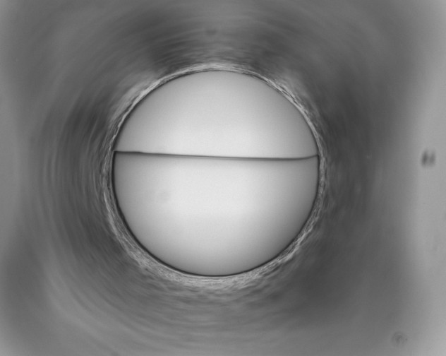 X0000089940001200707271828