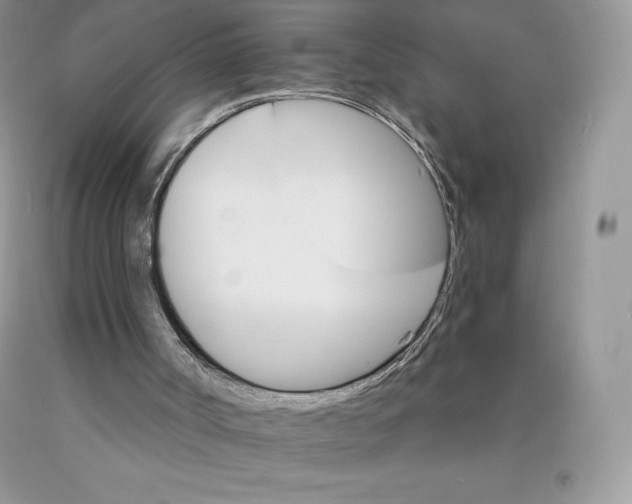 X0000089940002200707271828