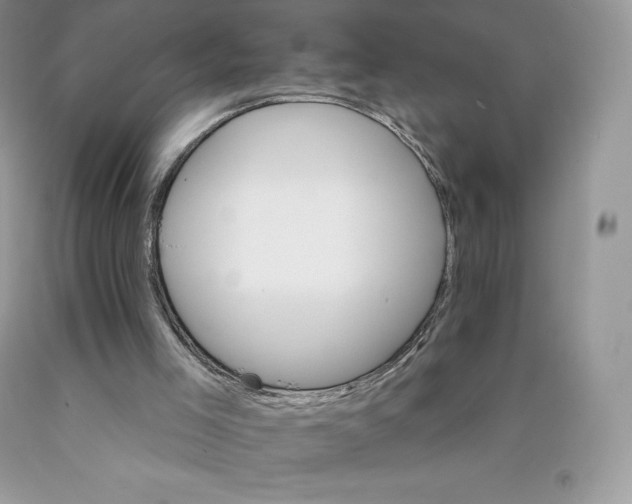 X0000089940005200707271828