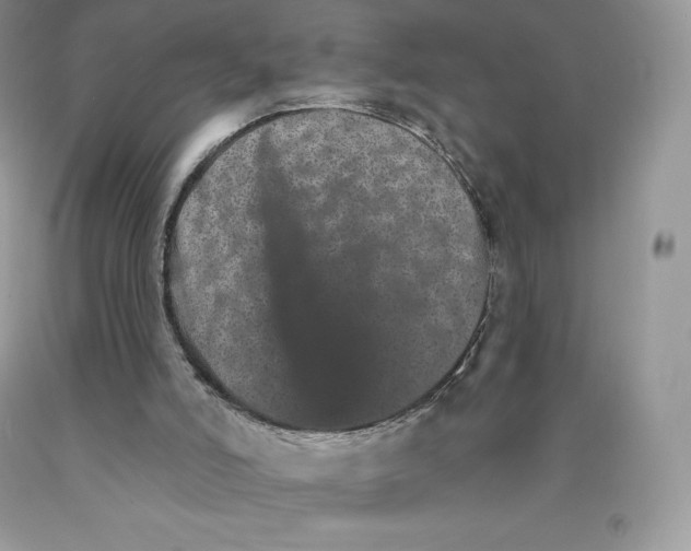 X0000089940006200707271828