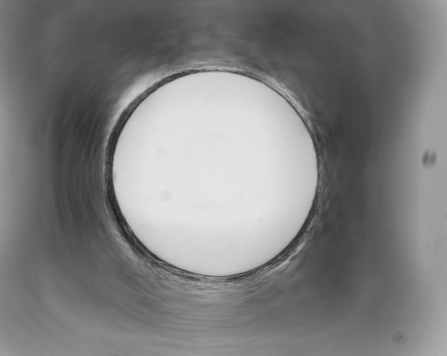 X0000089940008200707271828