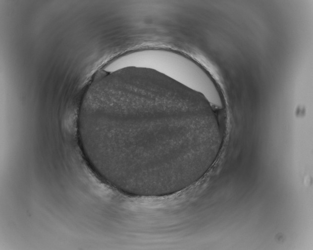 X0000089940009200707271828