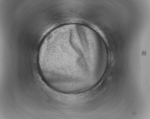 X0000089940010200707271828