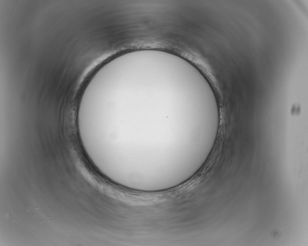 X0000089940012200707271828
