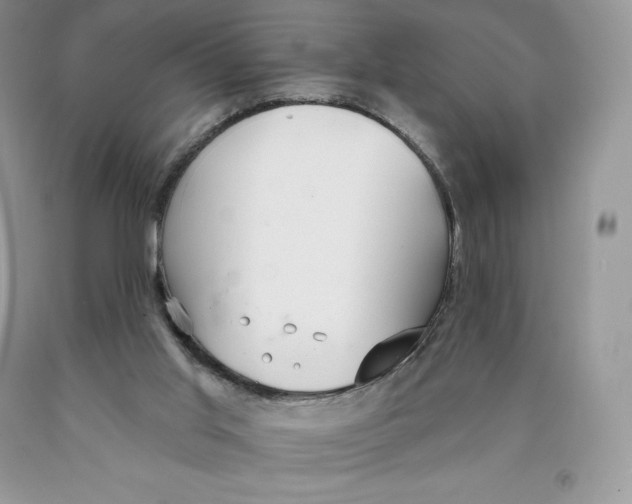 X0000089940013200707271828