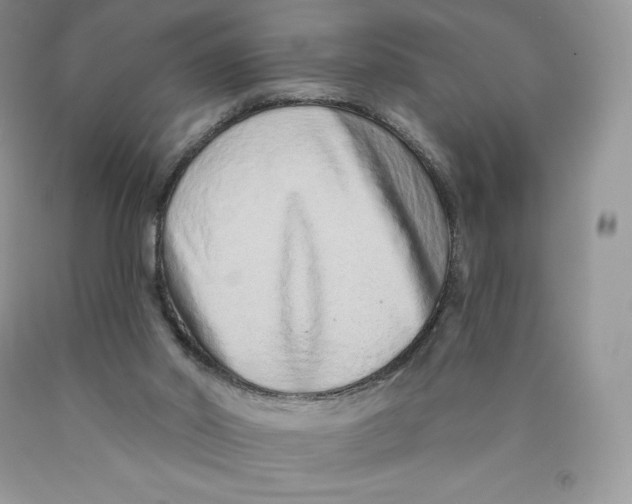 X0000089940014200707271828