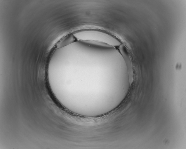X0000089940015200707271828