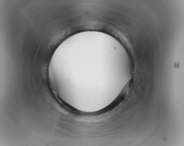 X0000089940017200707271828