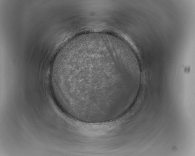 X0000089940018200707271828