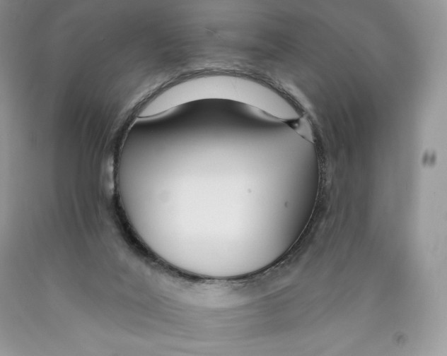 X0000089940020200707271828
