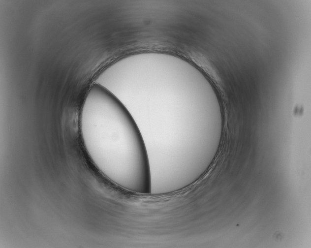 X0000089940021200707271828