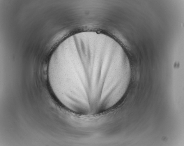X0000089940022200707271828