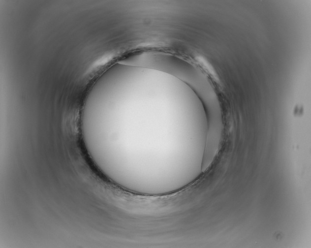 X0000089940023200707271828