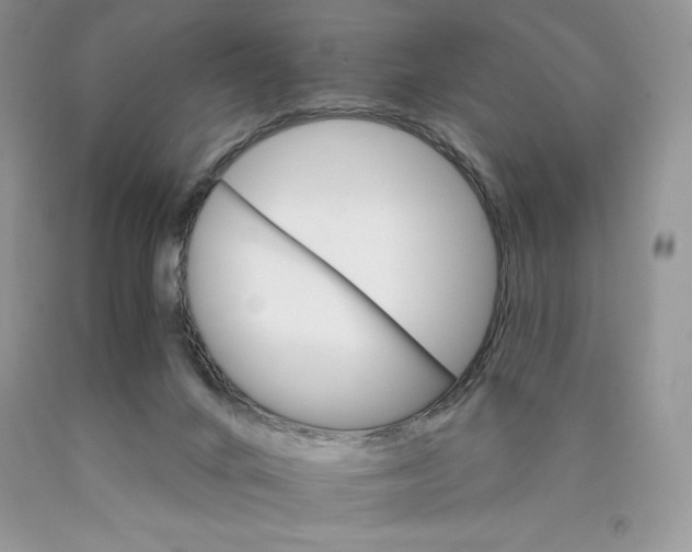 X0000089940024200707271828