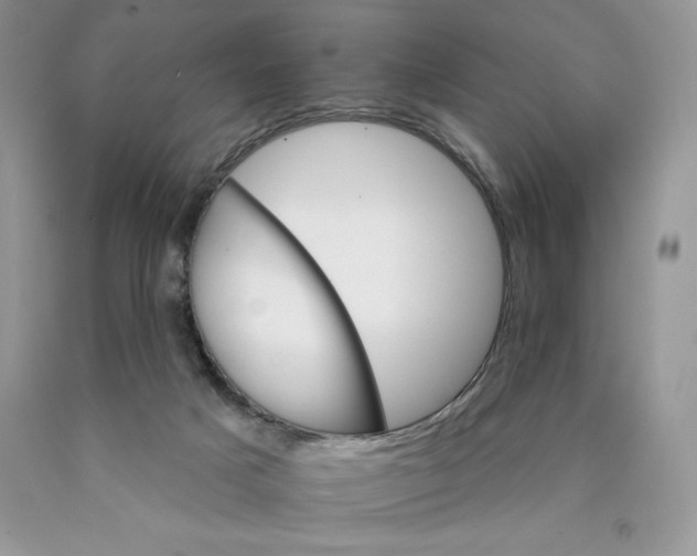 X0000089940025200707271828