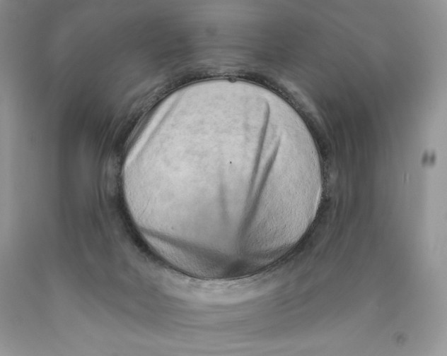 X0000089940026200707271828