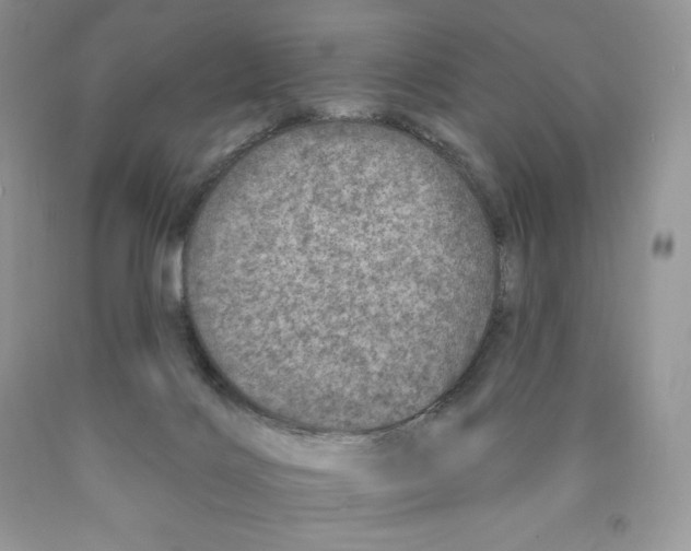 X0000089940028200707271828